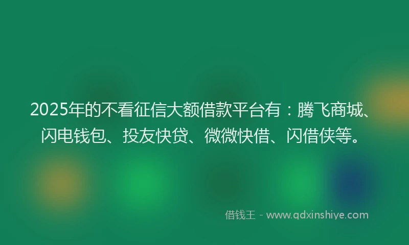 2025年的不看征信大额借款平台有：腾飞商城、闪电钱包、投友快贷、微微快借、闪借侠等。