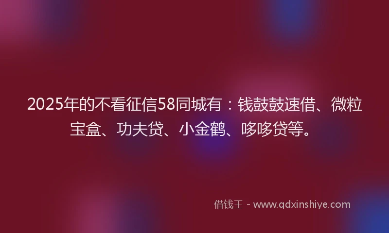 2025年的不看征信58同城有：钱鼓鼓速借、微粒宝盒、功夫贷、小金鹤、哆哆贷等。