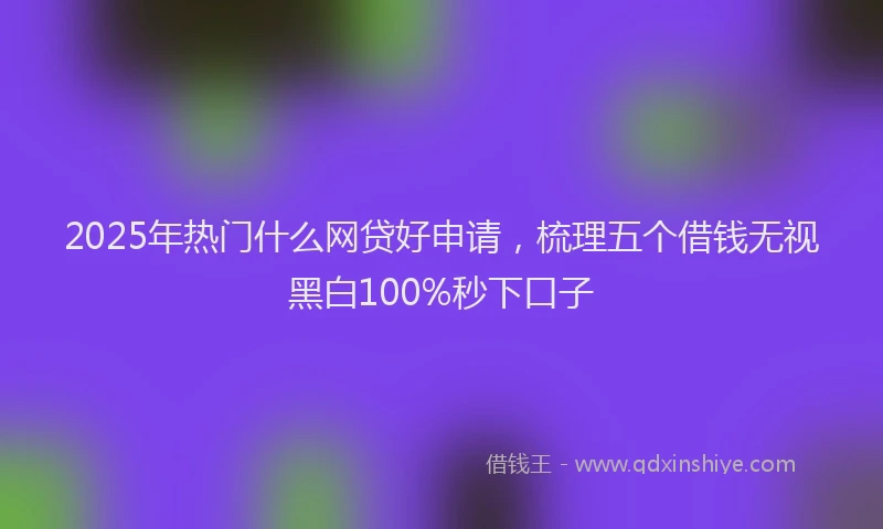 2025年热门什么网贷好申请，梳理五个借钱无视黑白100%秒下口子