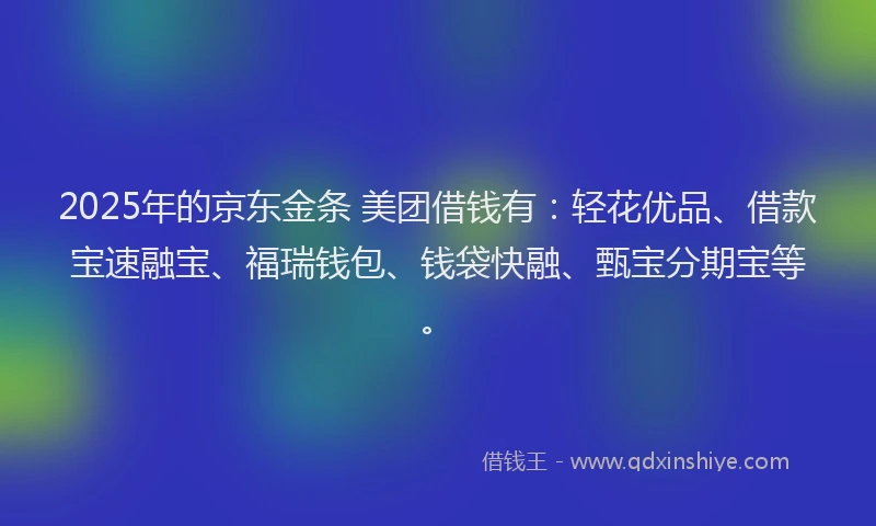 2025年的京东金条 美团借钱有：轻花优品、借款宝速融宝、福瑞钱包、钱袋快融、甄宝分期宝等。
