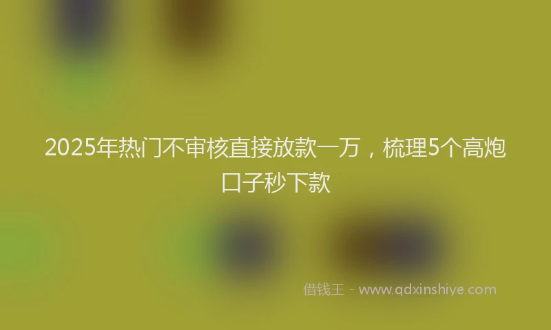 2025年热门不审核直接放款一万，梳理5个高炮口子秒下款