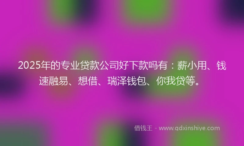 2025年的专业贷款公司好下款吗有：薪小用、钱速融易、想借、瑞泽钱包、你我贷等。