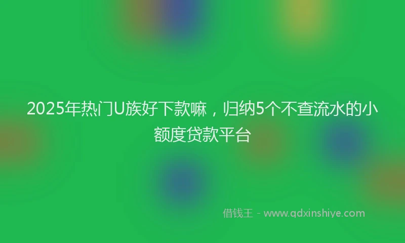 2025年热门U族好下款嘛，归纳5个不查流水的小额度贷款平台