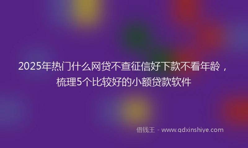 2025年热门什么网贷不查征信好下款不看年龄，梳理5个比较好的小额贷款软件