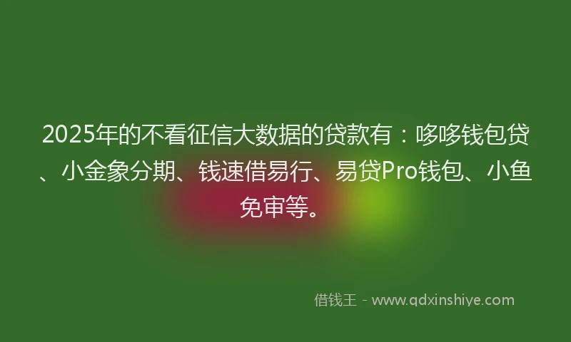 2025年的不看征信大数据的贷款有：哆哆钱包贷、小金象分期、钱速借易行、易贷Pro钱包、小鱼免审等。