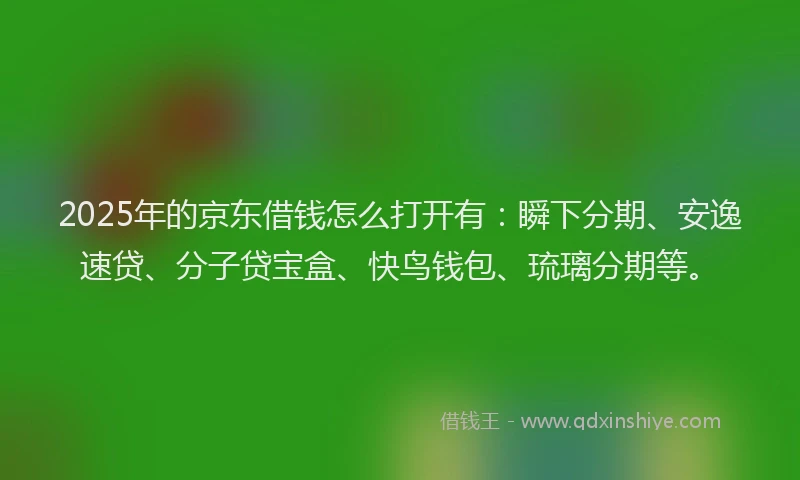 2025年的京东借钱怎么打开有：瞬下分期、安逸速贷、分子贷宝盒、快鸟钱包、琉璃分期等。