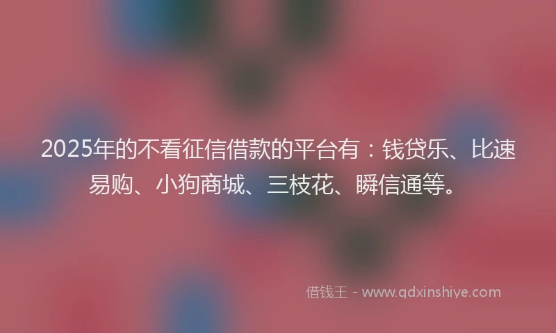 2025年的不看征信借款的平台有：钱贷乐、比速易购、小狗商城、三枝花、瞬信通等。