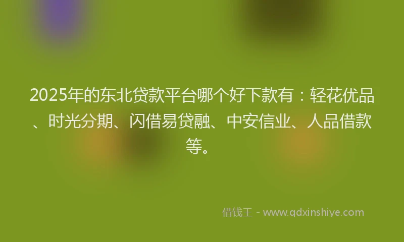2025年的东北贷款平台哪个好下款有：轻花优品、时光分期、闪借易贷融、中安信业、人品借款等。