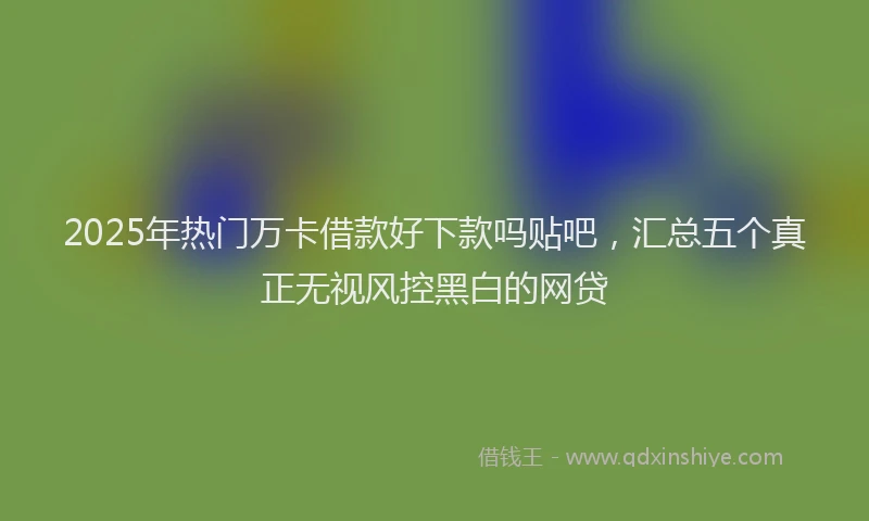 2025年热门万卡借款好下款吗贴吧，汇总五个真正无视风控黑白的网贷