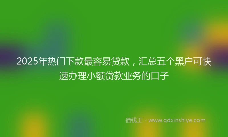 2025年热门下款最容易贷款，汇总五个黑户可快速办理小额贷款业务的口子