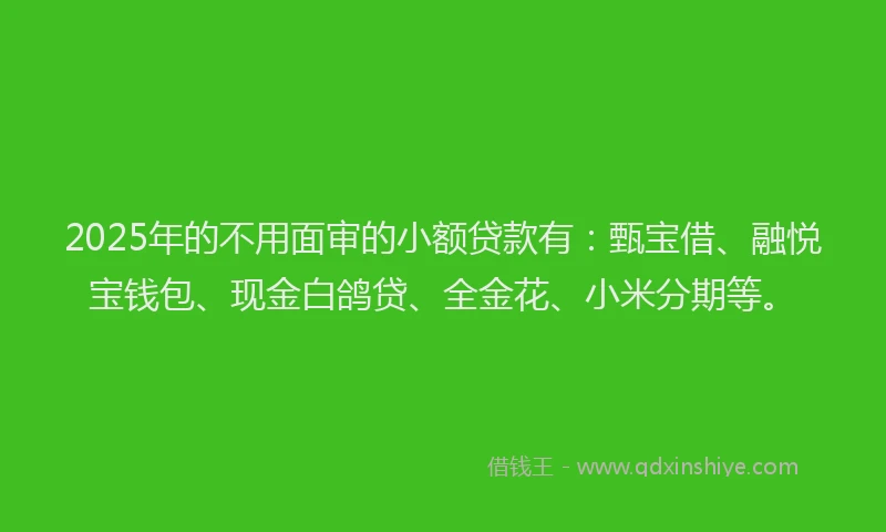 2025年的不用面审的小额贷款有：甄宝借、融悦宝钱包、现金白鸽贷、全金花、小米分期等。