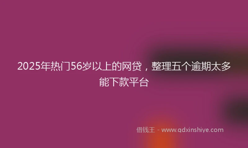 2025年热门56岁以上的网贷，整理五个逾期太多能下款平台