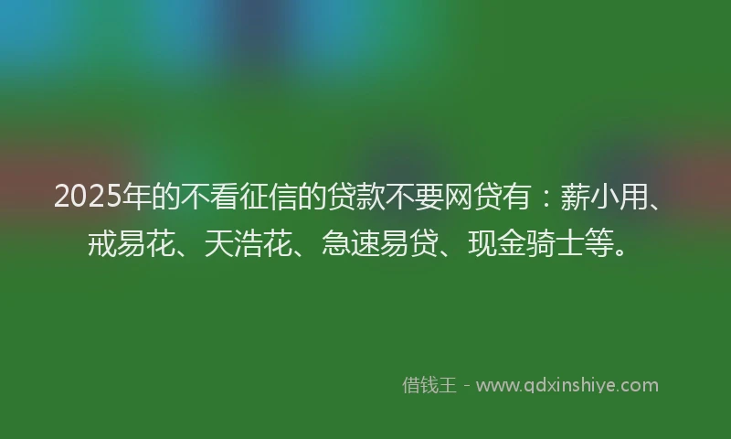 2025年的不看征信的贷款不要网贷有：薪小用、戒易花、天浩花、急速易贷、现金骑士等。