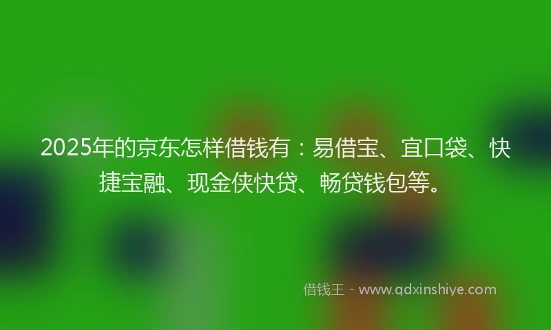 2025年的京东怎样借钱有：易借宝、宜口袋、快捷宝融、现金侠快贷、畅贷钱包等。
