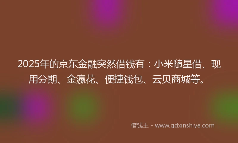 2025年的京东金融突然借钱有：小米随星借、现用分期、金瀛花、便捷钱包、云贝商城等。