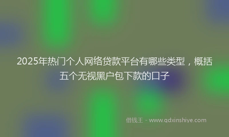 2025年热门个人网络贷款平台有哪些类型，概括五个无视黑户包下款的口子