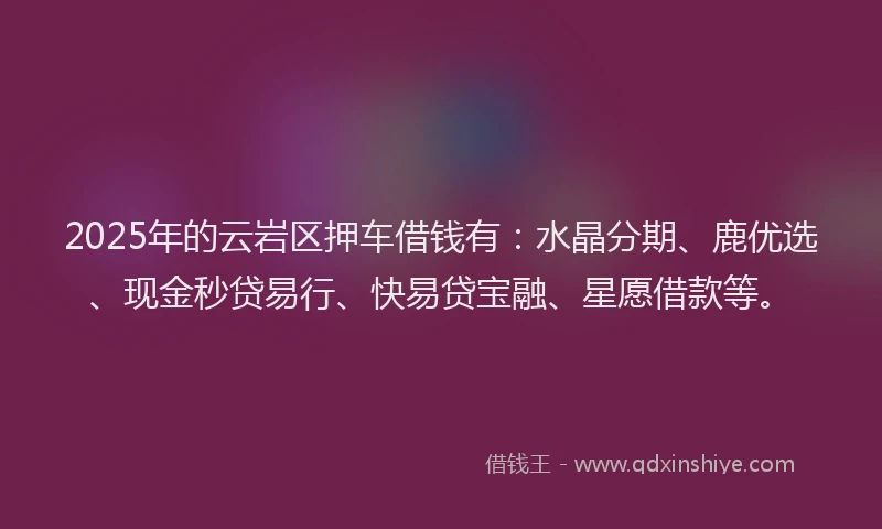 2025年的云岩区押车借钱有：水晶分期、鹿优选、现金秒贷易行、快易贷宝融、星愿借款等。