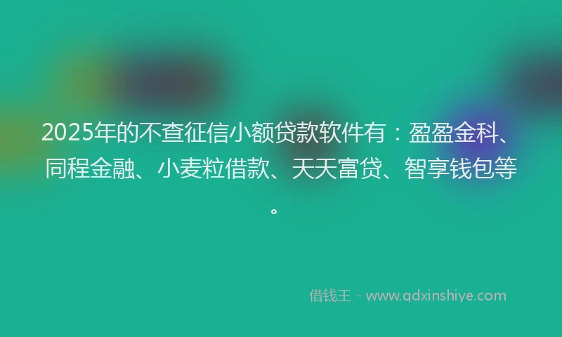 2025年的不查征信小额贷款软件有：盈盈金科、同程金融、小麦粒借款、天天富贷、智享钱包等。