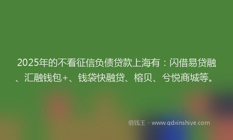 2025年的不看征信负债贷款上海有：闪借易贷融、汇融钱包+、钱袋快融贷、榕贝、兮悦商城等。