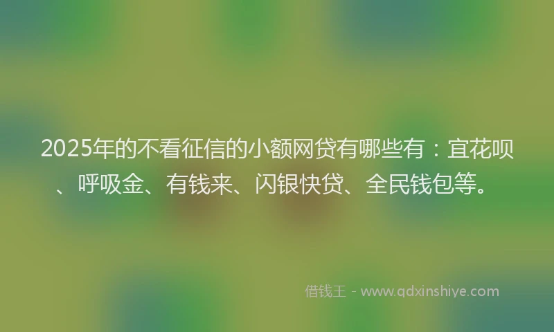 2025年的不看征信的小额网贷有哪些有：宜花呗、呼吸金、有钱来、闪银快贷、全民钱包等。