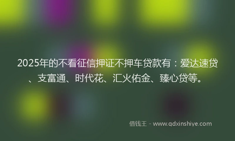 2025年的不看征信押证不押车贷款有：爱达速贷、支富通、时代花、汇火佑金、臻心贷等。
