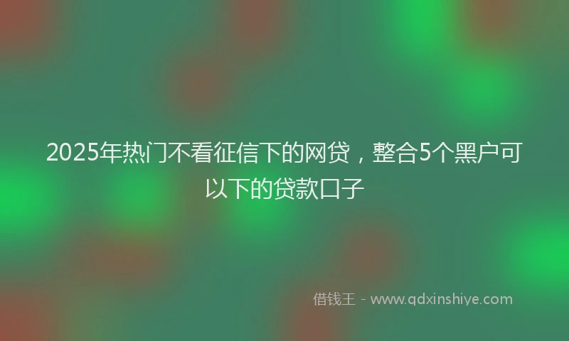 2025年热门不看征信下的网贷，整合5个黑户可以下的贷款口子