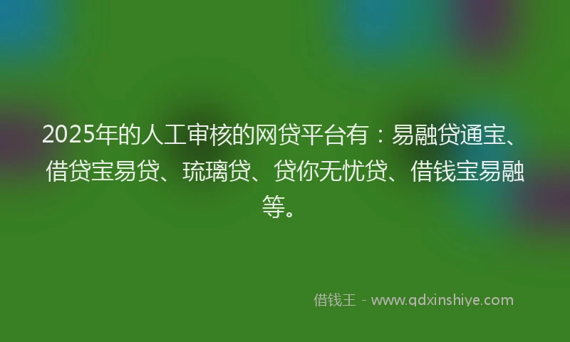 2025年的人工审核的网贷平台有：易融贷通宝、借贷宝易贷、琉璃贷、贷你无忧贷、借钱宝易融等。