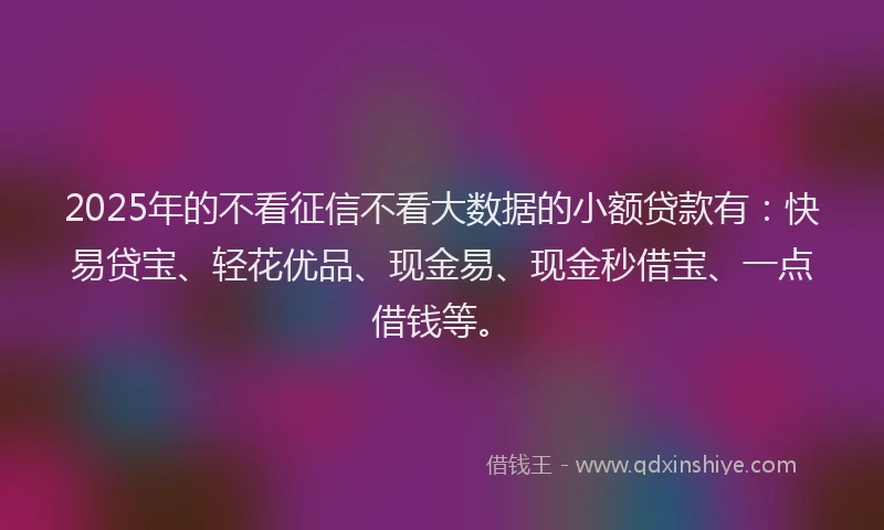 2025年的不看征信不看大数据的小额贷款有：快易贷宝、轻花优品、现金易、现金秒借宝、一点借钱等。