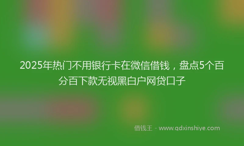 2025年热门不用银行卡在微信借钱，盘点5个百分百下款无视黑白户网贷口子