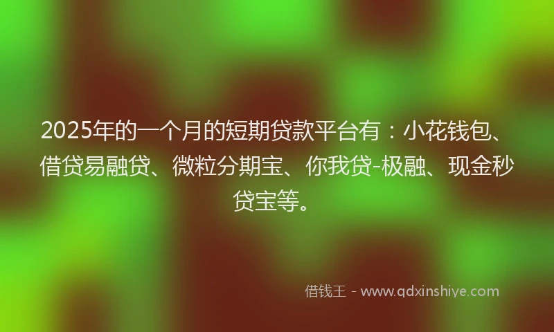2025年的一个月的短期贷款平台有：小花钱包、借贷易融贷、微粒分期宝、你我贷-极融、现金秒贷宝等。