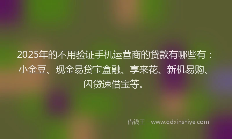 2025年的不用验证手机运营商的贷款有哪些有：小金豆、现金易贷宝盒融、享来花、新机易购、闪贷速借宝等。