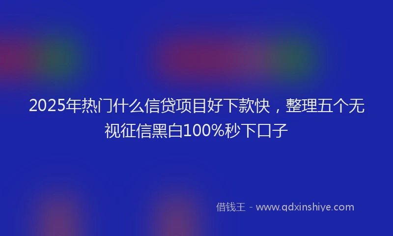 2025年热门什么信贷项目好下款快，整理五个无视征信黑白100%秒下口子