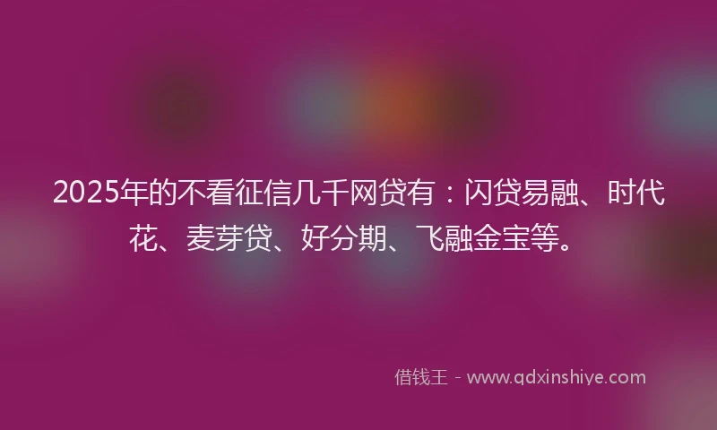 2025年的不看征信几千网贷有：闪贷易融、时代花、麦芽贷、好分期、飞融金宝等。