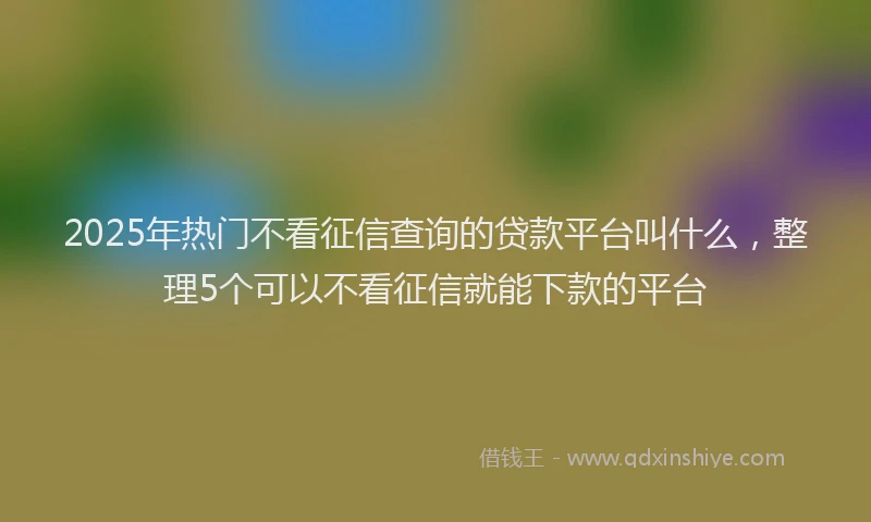 2025年热门不看征信查询的贷款平台叫什么，整理5个可以不看征信就能下款的平台