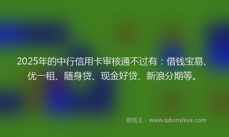 2025年的中行信用卡审核通不过有：借钱宝易、优一租、随身贷、现金好贷、新浪分期等。