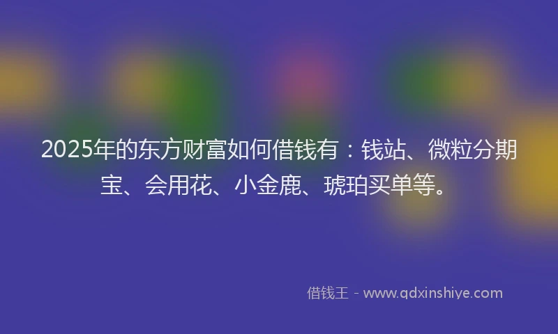 2025年的东方财富如何借钱有：钱站、微粒分期宝、会用花、小金鹿、琥珀买单等。