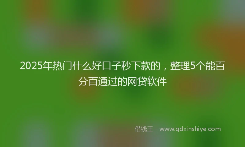 2025年热门什么好口子秒下款的，整理5个能百分百通过的网贷软件