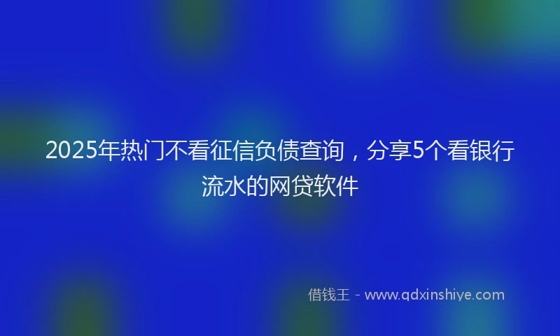2025年热门不看征信负债查询，分享5个看银行流水的网贷软件
