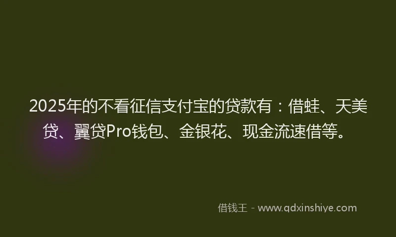 2025年的不看征信支付宝的贷款有：借蛙、天美贷、翼贷Pro钱包、金银花、现金流速借等。