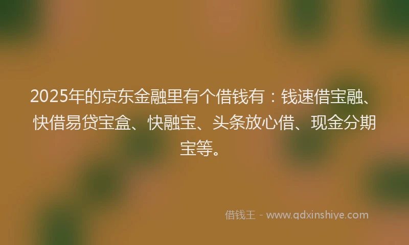 2025年的京东金融里有个借钱有：钱速借宝融、快借易贷宝盒、快融宝、头条放心借、现金分期宝等。