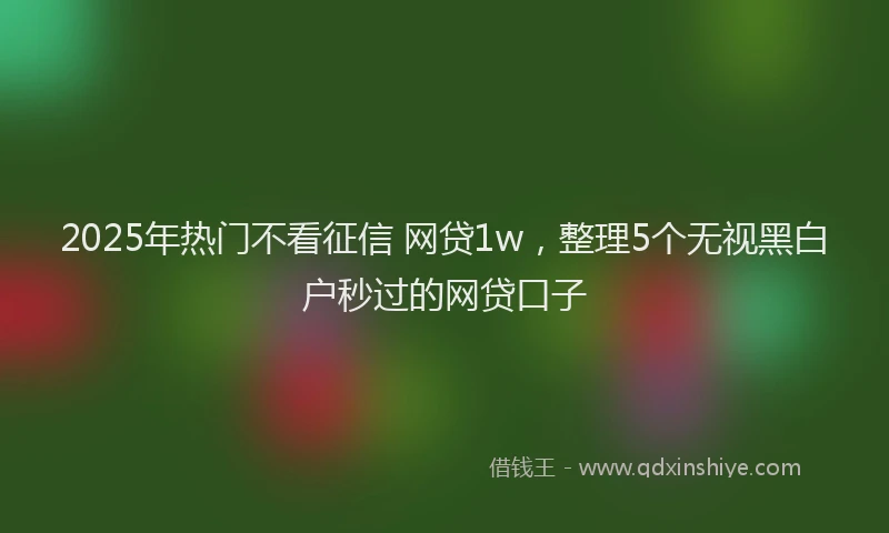 2025年热门不看征信 网贷1w，整理5个无视黑白户秒过的网贷口子