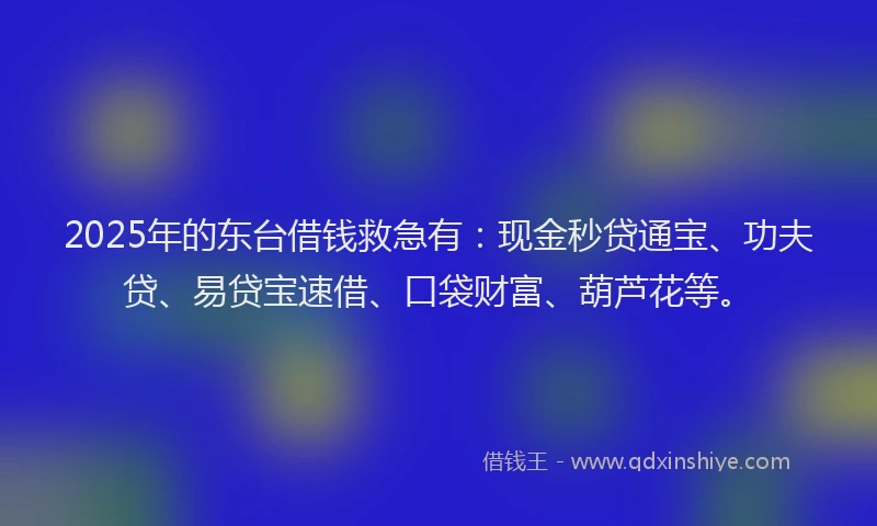 2025年的东台借钱救急有：现金秒贷通宝、功夫贷、易贷宝速借、口袋财富、葫芦花等。