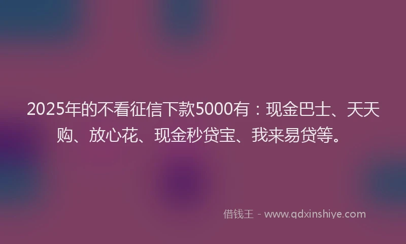 2025年的不看征信下款5000有：现金巴士、天天购、放心花、现金秒贷宝、我来易贷等。
