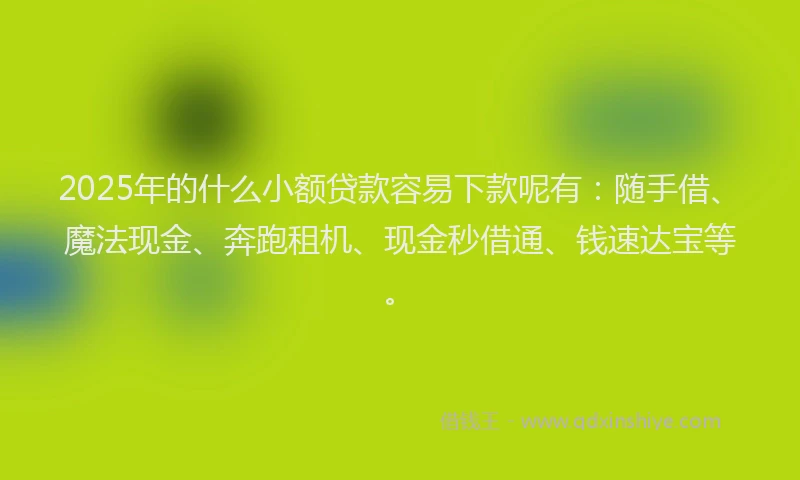 2025年的什么小额贷款容易下款呢有：随手借、魔法现金、奔跑租机、现金秒借通、钱速达宝等。