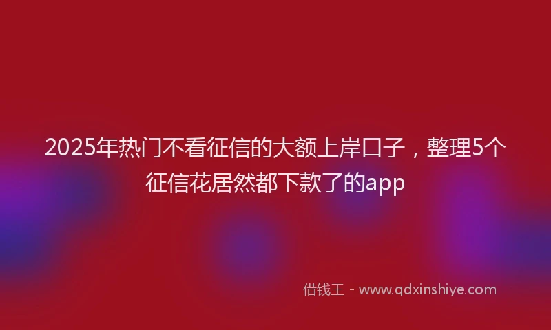 2025年热门不看征信的大额上岸口子，整理5个征信花居然都下款了的app