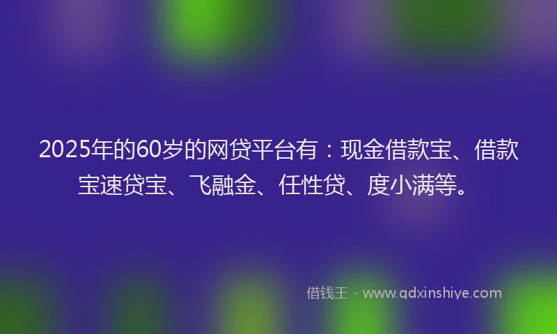 2025年的60岁的网贷平台有：现金借款宝、借款宝速贷宝、飞融金、任性贷、度小满等。