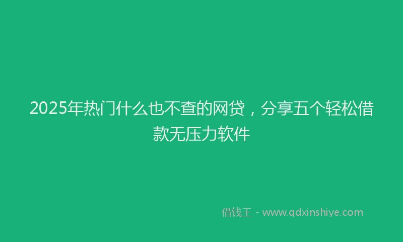 2025年热门什么也不查的网贷，分享五个轻松借款无压力软件