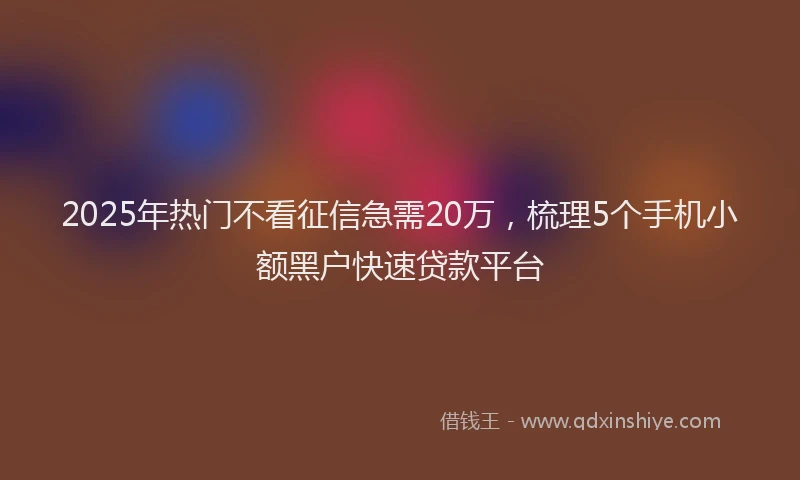 2025年热门不看征信急需20万，梳理5个手机小额黑户快速贷款平台