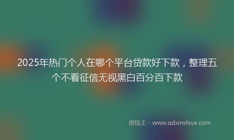 2025年热门个人在哪个平台贷款好下款，整理五个不看征信无视黑白百分百下款