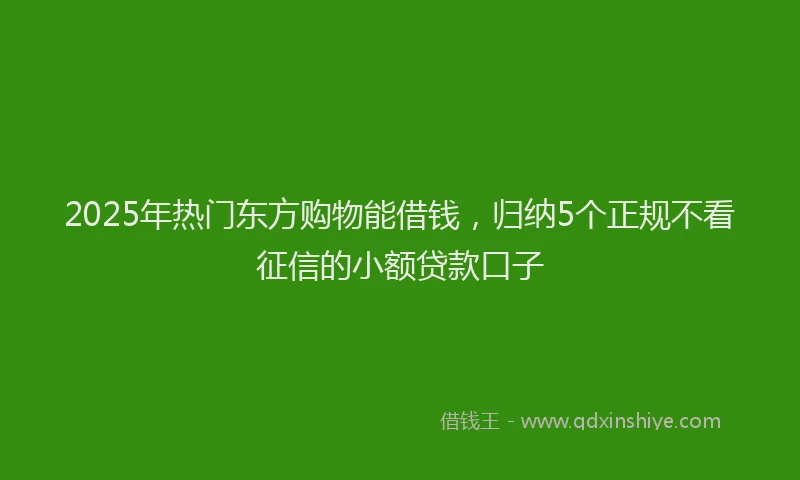 2025年热门东方购物能借钱，归纳5个正规不看征信的小额贷款口子